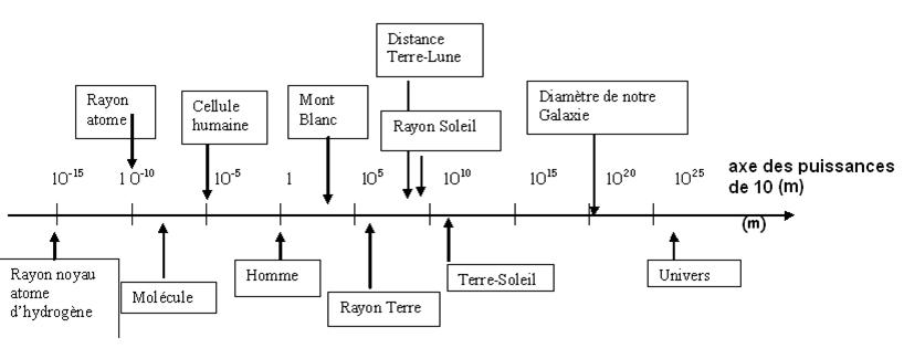 \includegraphics[scale=0.8]{images/ordre}